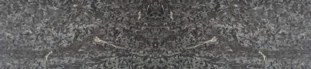 Ibere-Black-bird_bookmatch