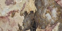 Patagonia Quartzite Full Slab